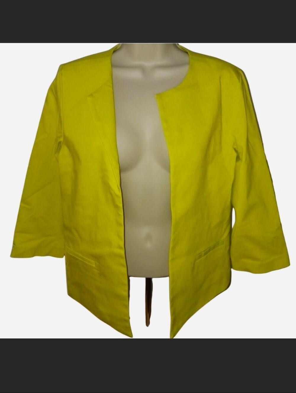 Attyre New York Vibrant Blazer